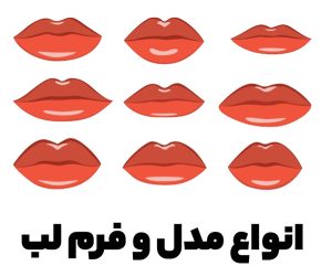 انواع فرم لب